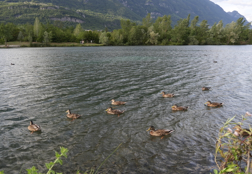 Lac Carouge